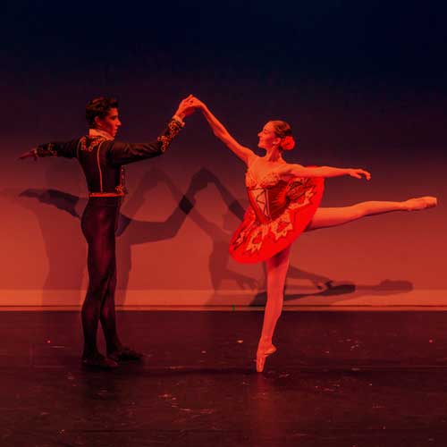 Performances / Events Image
